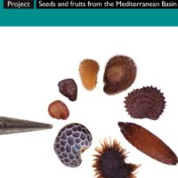 Maris Nostri Novus Atlas: Seeds and fruits from the Mediterranean Basin